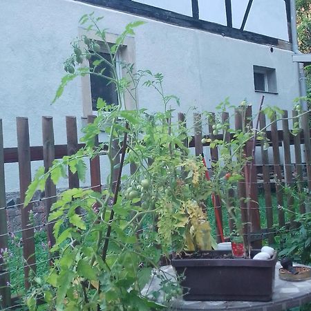 Zum Stillen Himmelbett In Lichtenwalde Niederwiesa Kültér fotó