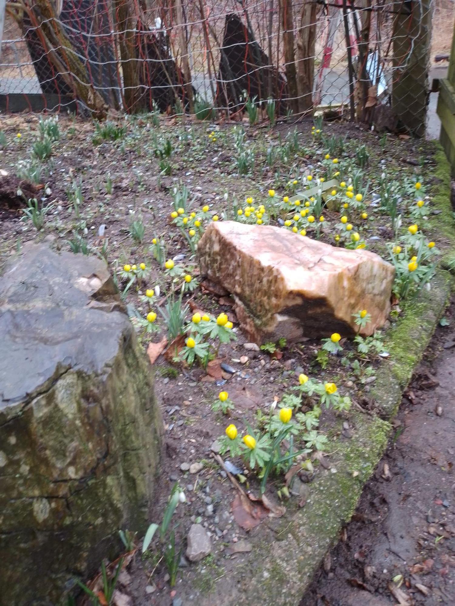 Zum Stillen Himmelbett In Lichtenwalde Niederwiesa Kültér fotó