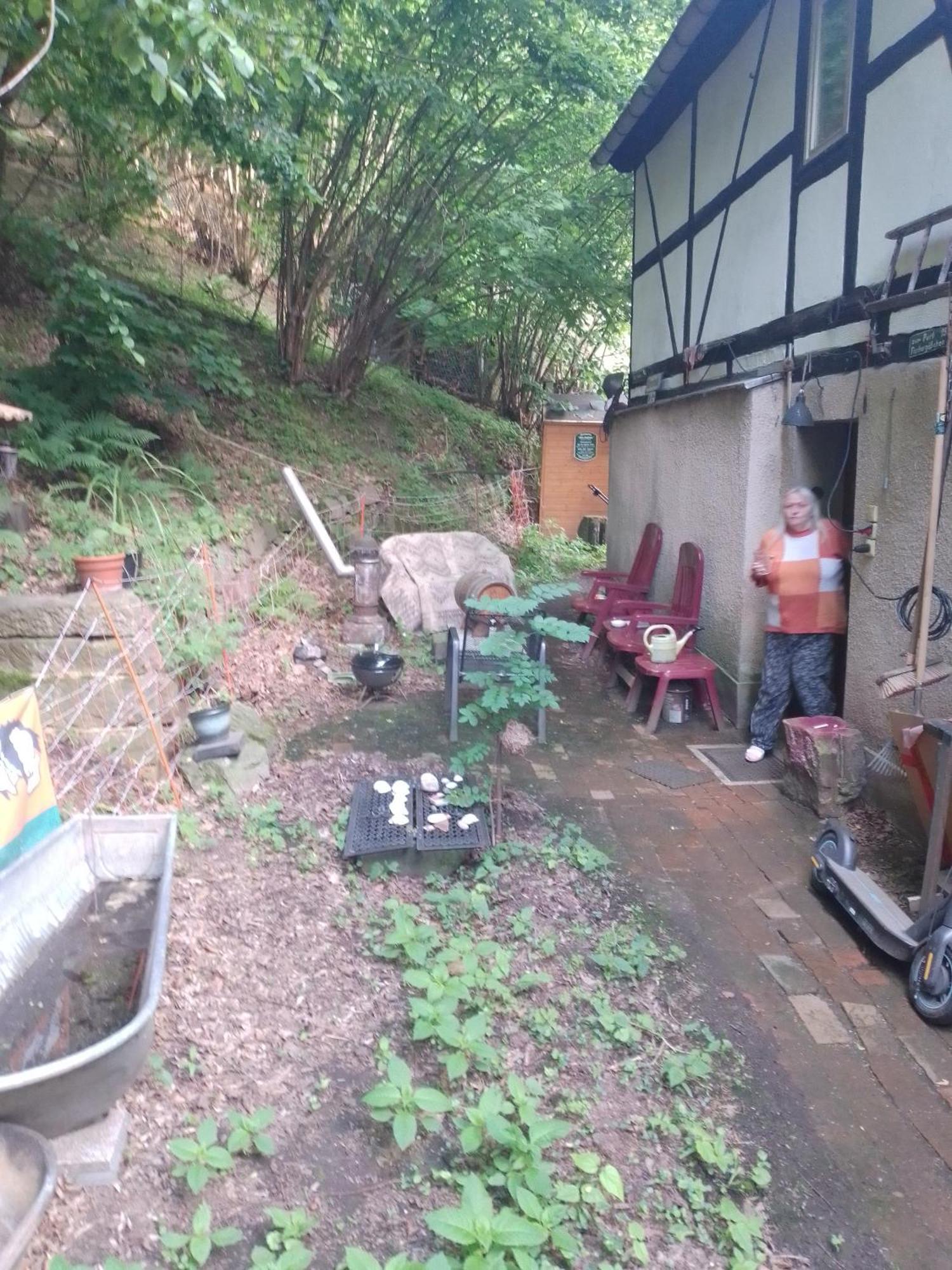 Zum Stillen Himmelbett In Lichtenwalde Niederwiesa Kültér fotó
